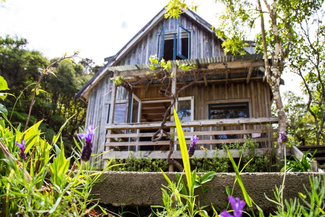 Fern Lodge Coromandel Екстер'єр фото